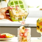 Ice Cube Maker Water Bottle – 500ml DailyDwell.pk