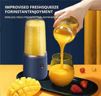 Hexa Blade 2-in-1 Rechargeable Mini Electric Juicer Blender DailyDwell.pk
